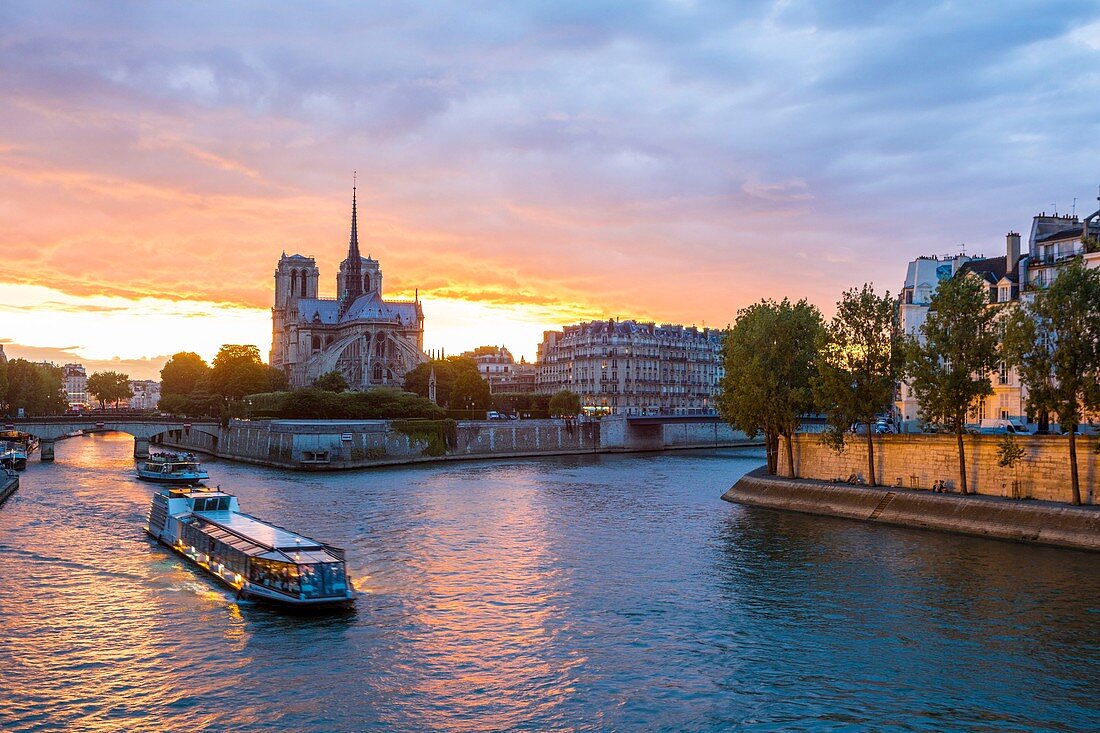 Cathédrale Notre-Dame