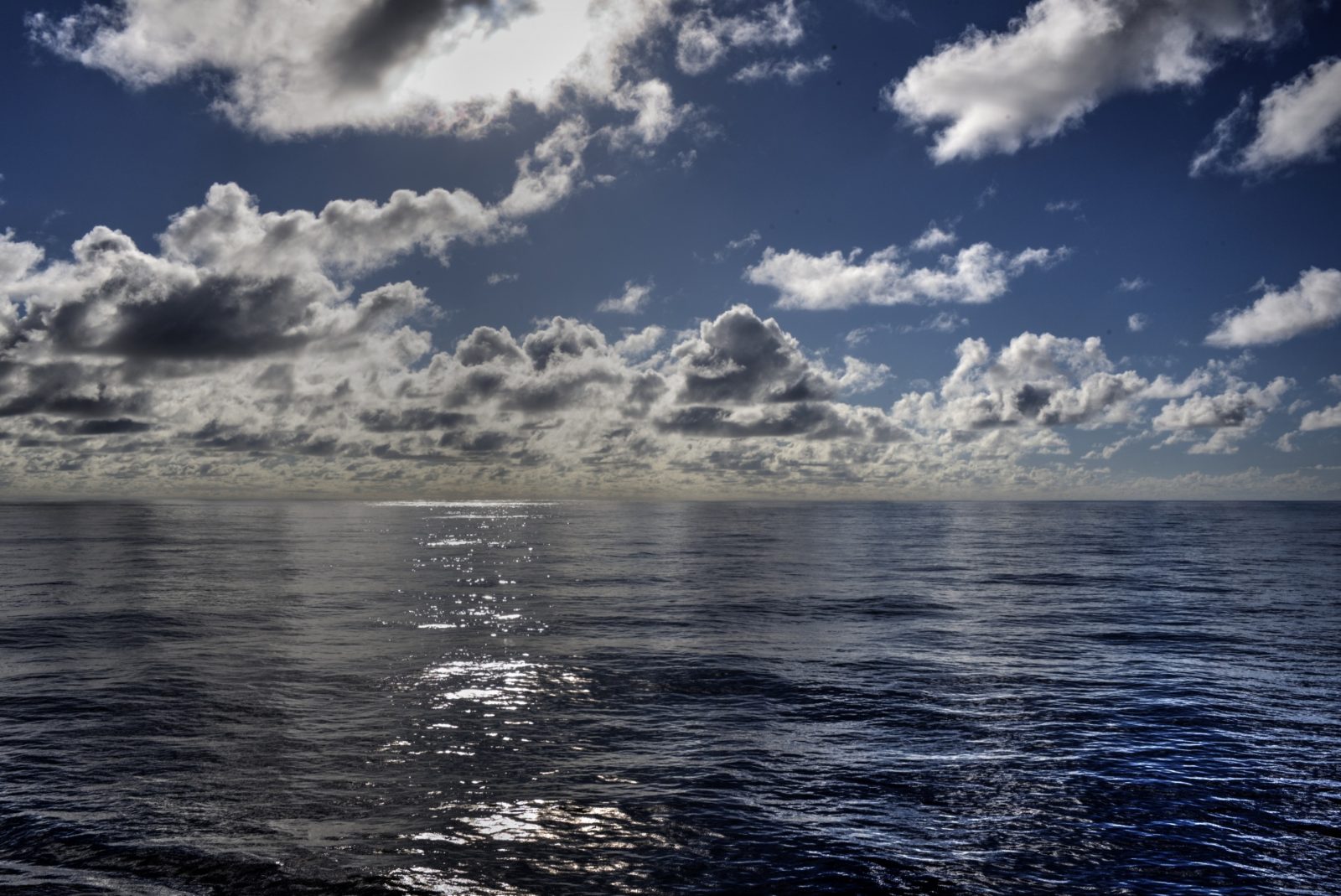 Pacific Ocean Feeding Grounds