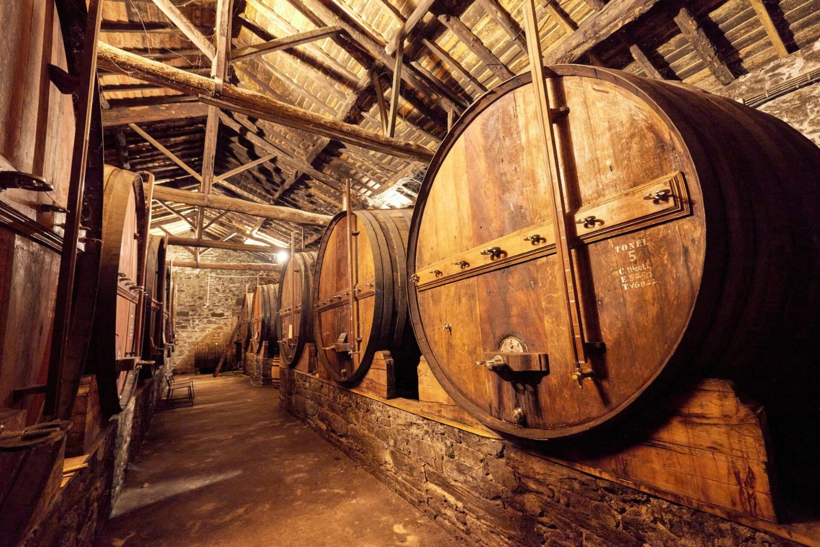 Lisbon to Douro Valley Wine Tour