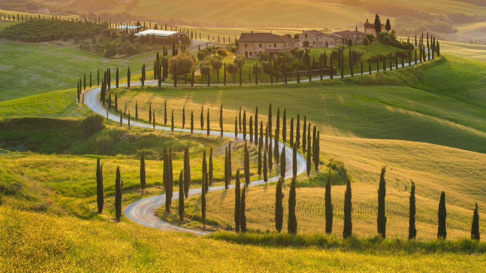 Travel