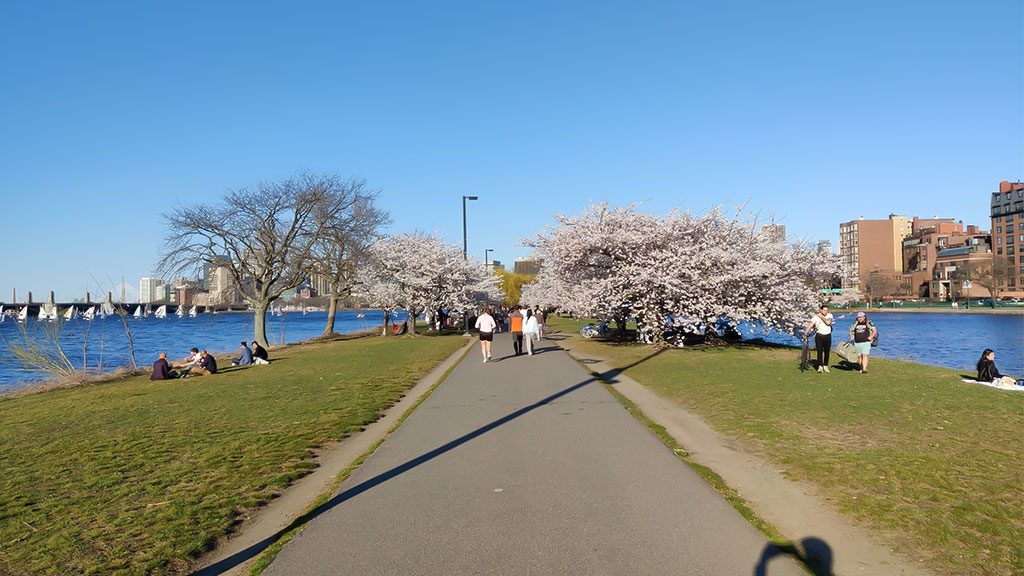 Esplanade Park