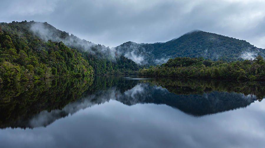 Gordon River Reflections