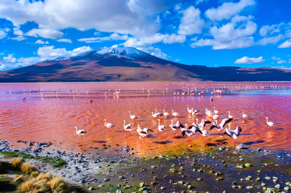 Eduardo Avaroa Andean Fauna National Reserve