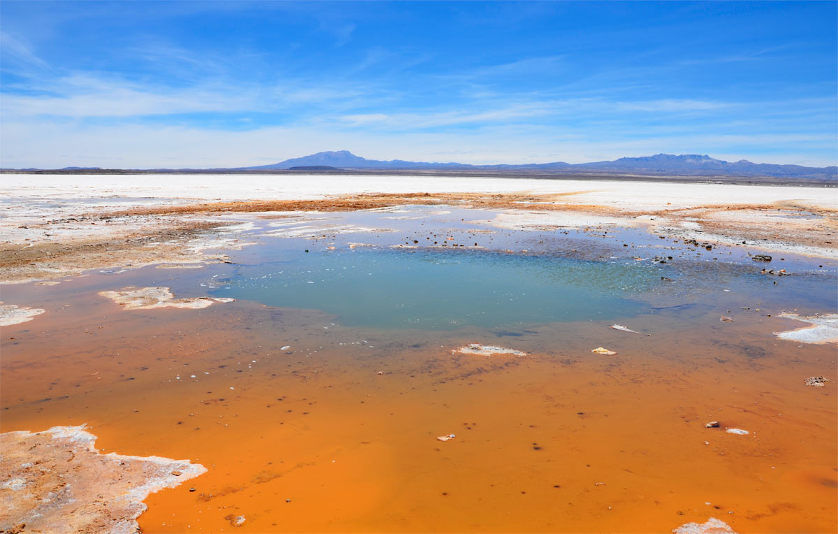 Colchani Salt Flats Edge & Ojos del Salar
