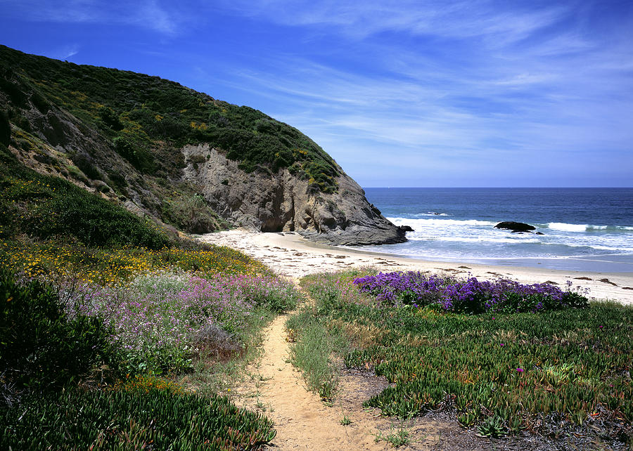 Dana Point Headlands