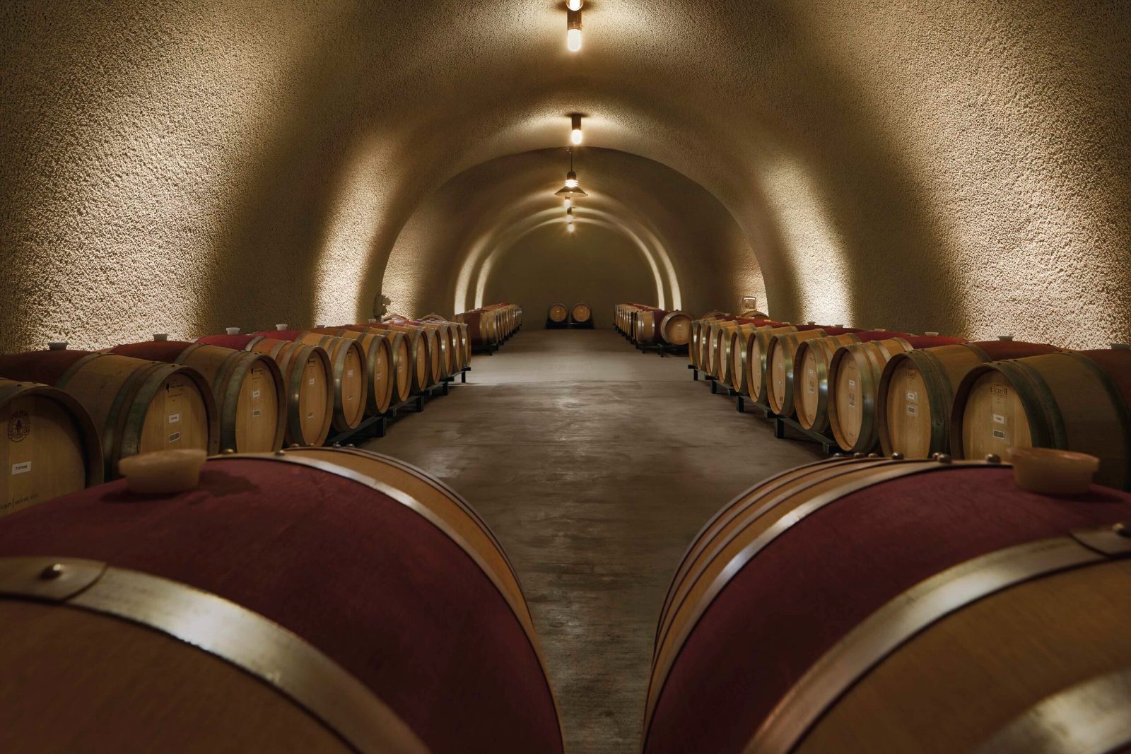 Napa Wine Tour