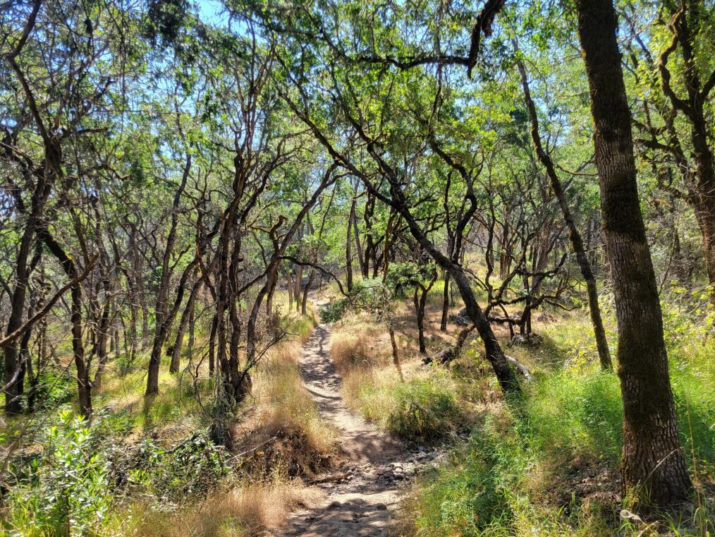 Bothe-Napa Valley State Park