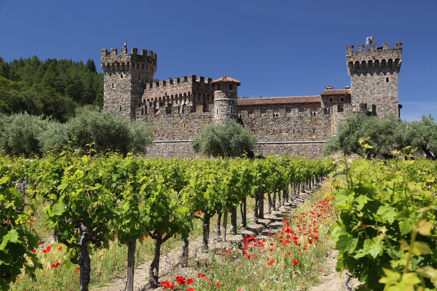 Castello di Amorosa
