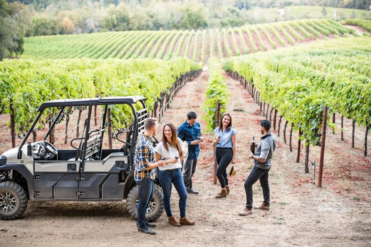 Vineyard Walk