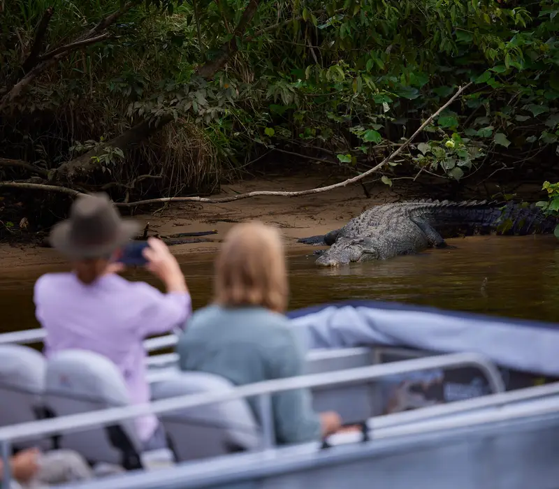 Daintree River Cruise