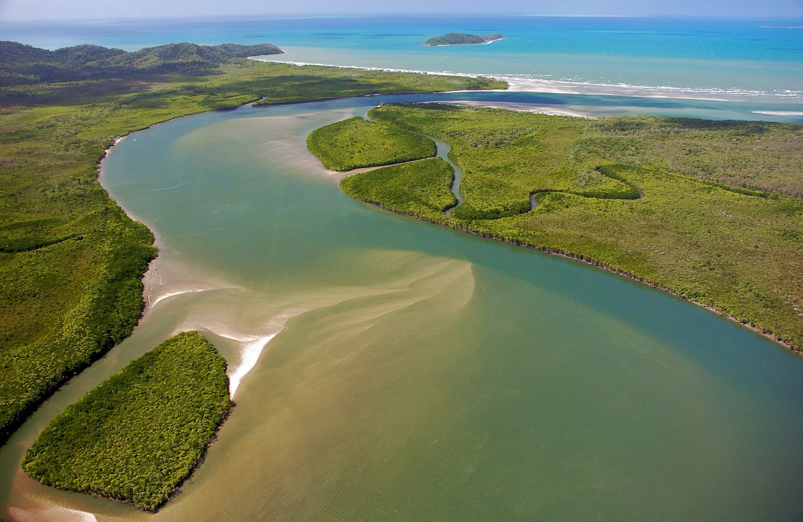 Riverbank Mangrove Corridor