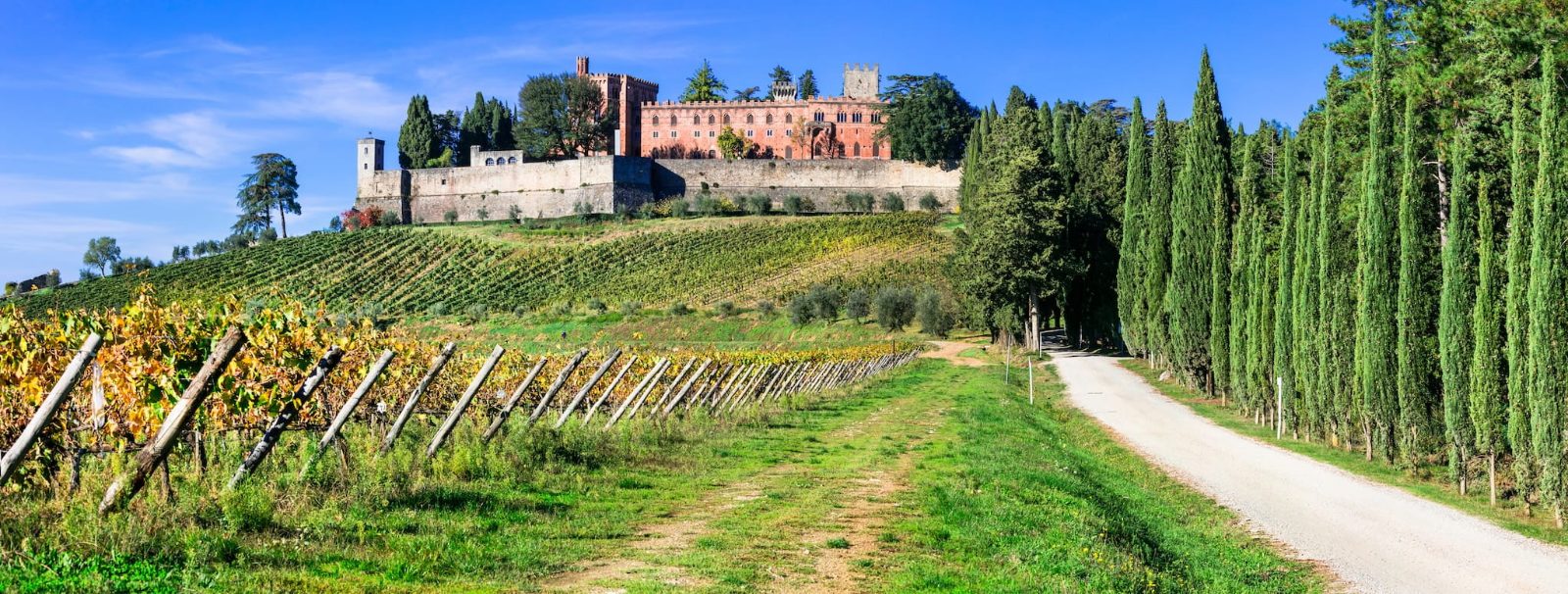 Castello di Brolio Cypress Avenue