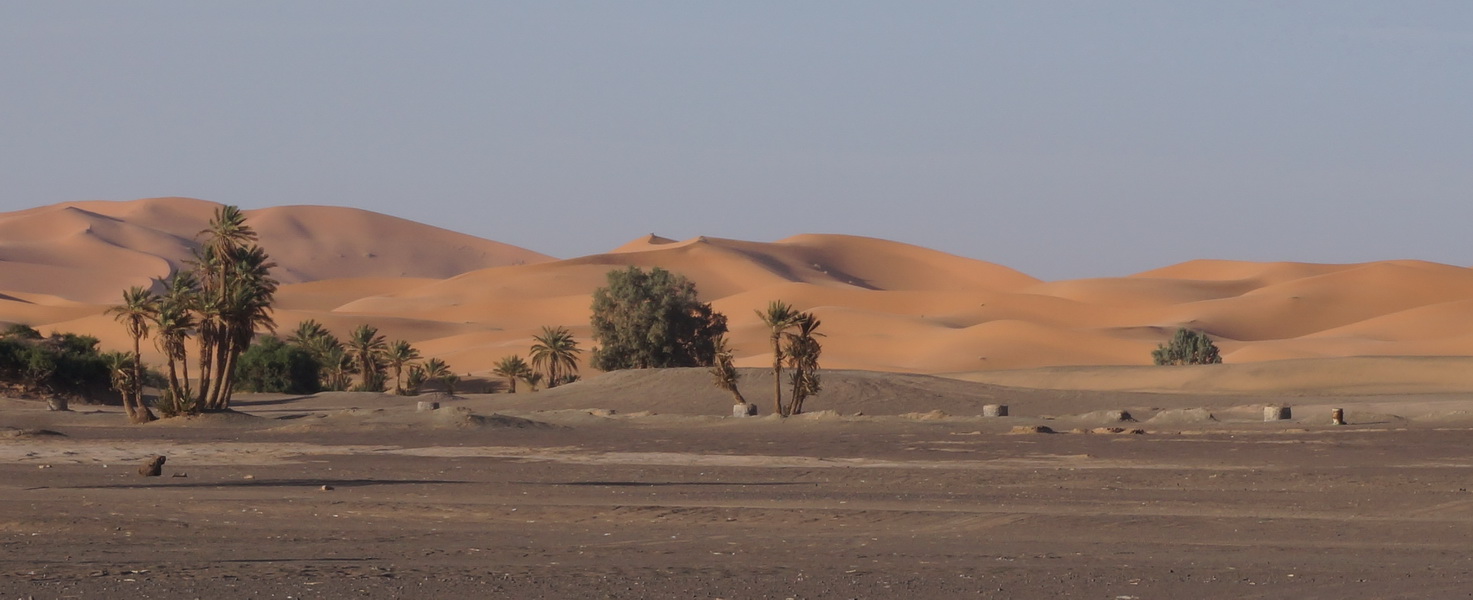 Hassi Labied Oasis