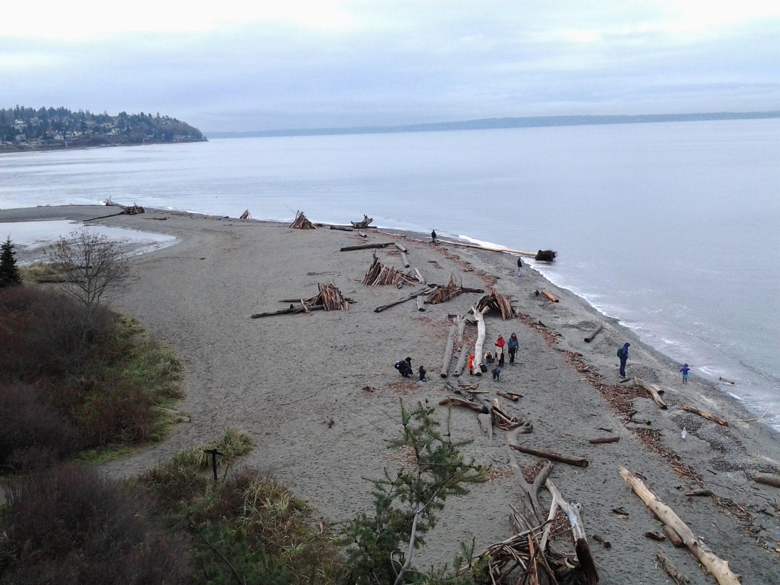 Carkeek Park