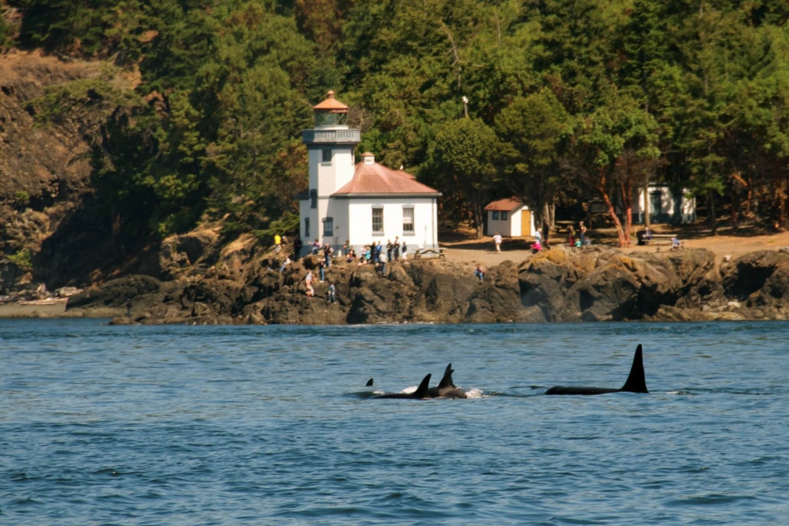 Lime Kiln Point State Park