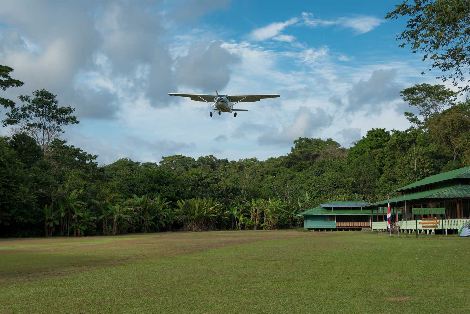 Sirena Airstrip Wildlife Clearing