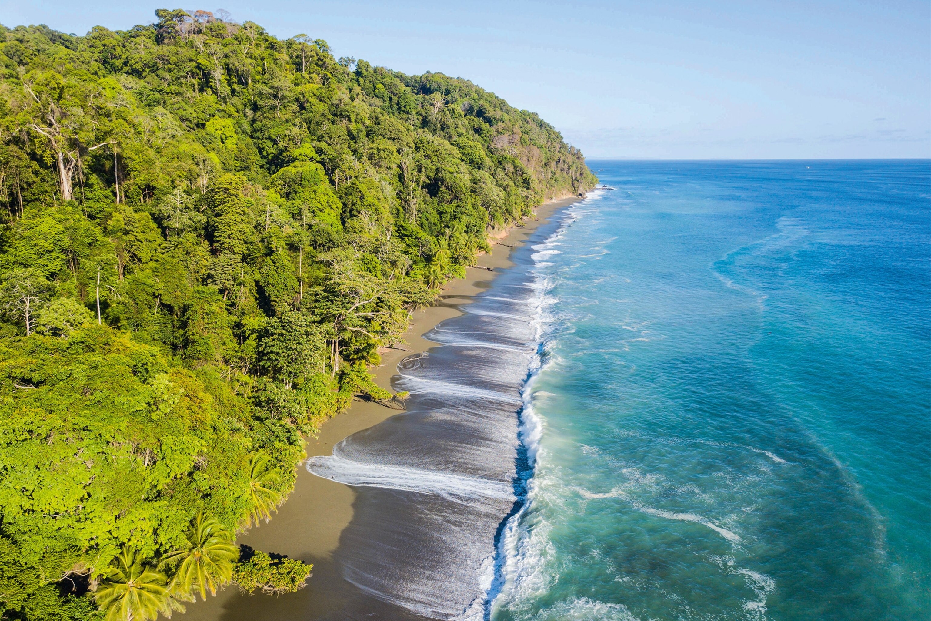 Exploring Corcovado National Park on Foot