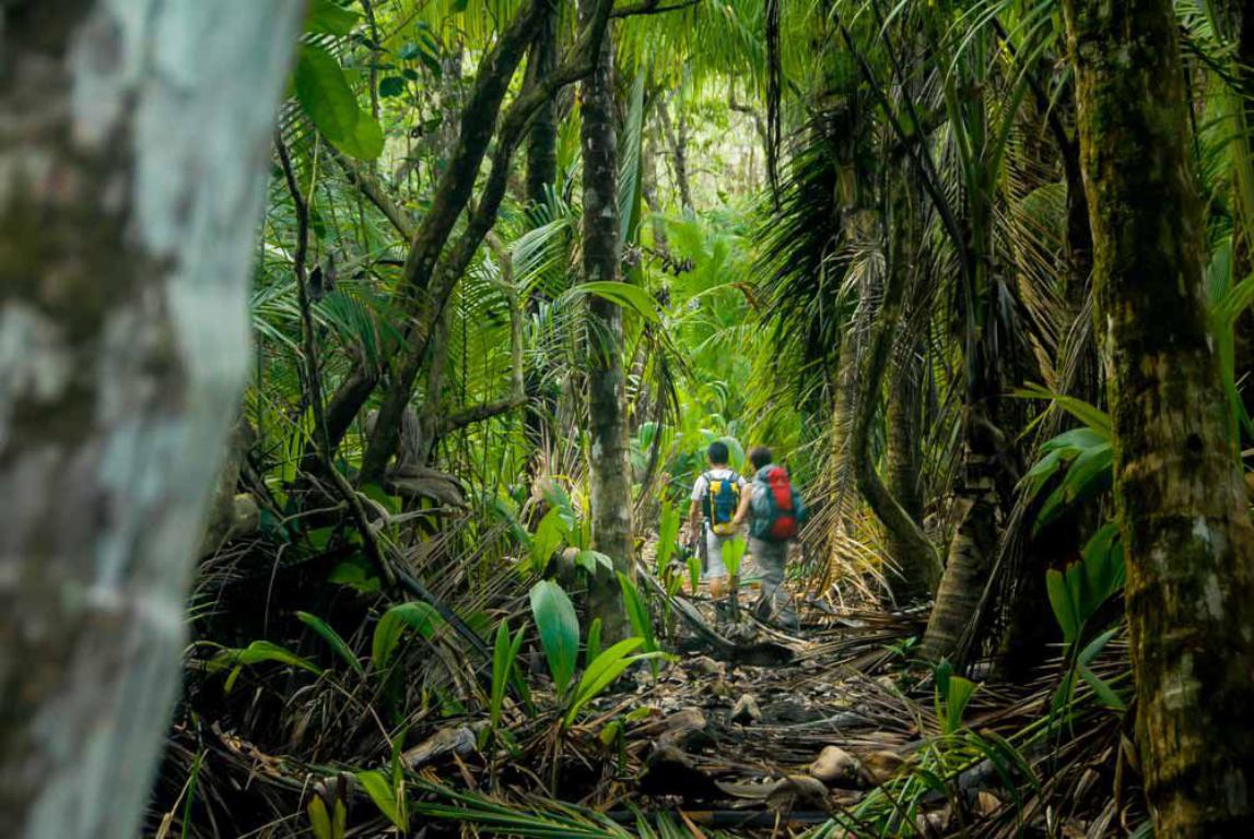 Your experience at Corcovado National Park Tours & Tickets