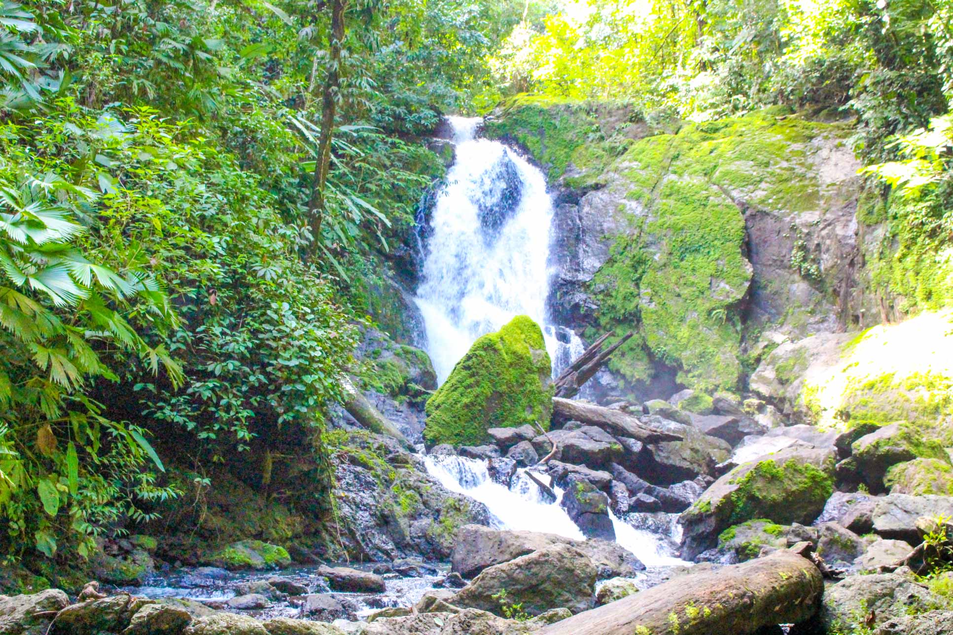San Pedrillo Waterfall & Trails