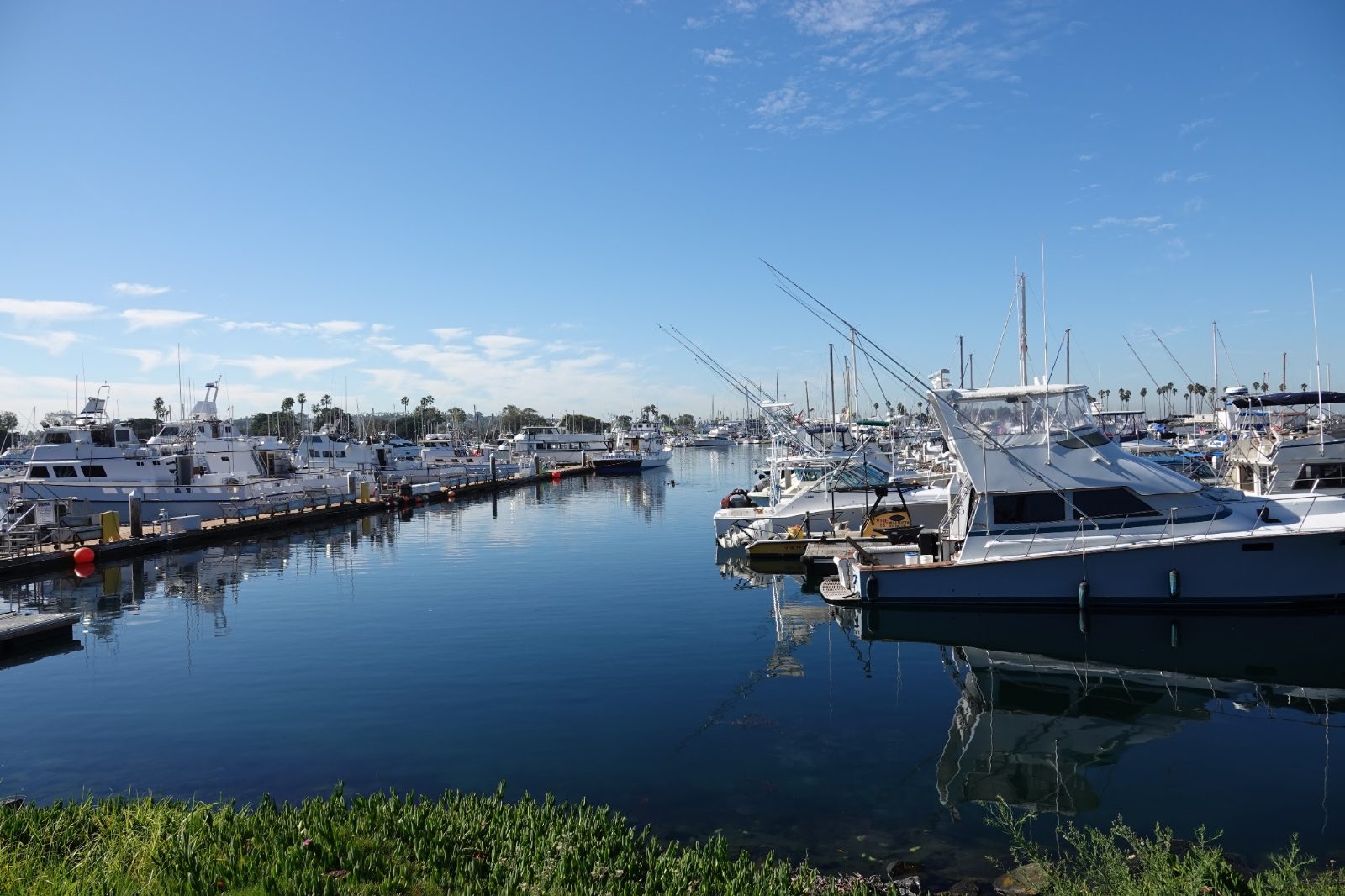 Quivira Basin Dock