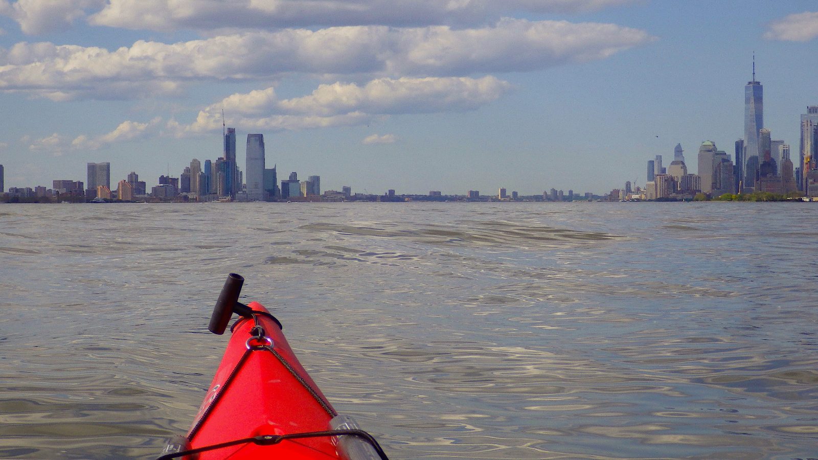Marine Wildlife Horizon