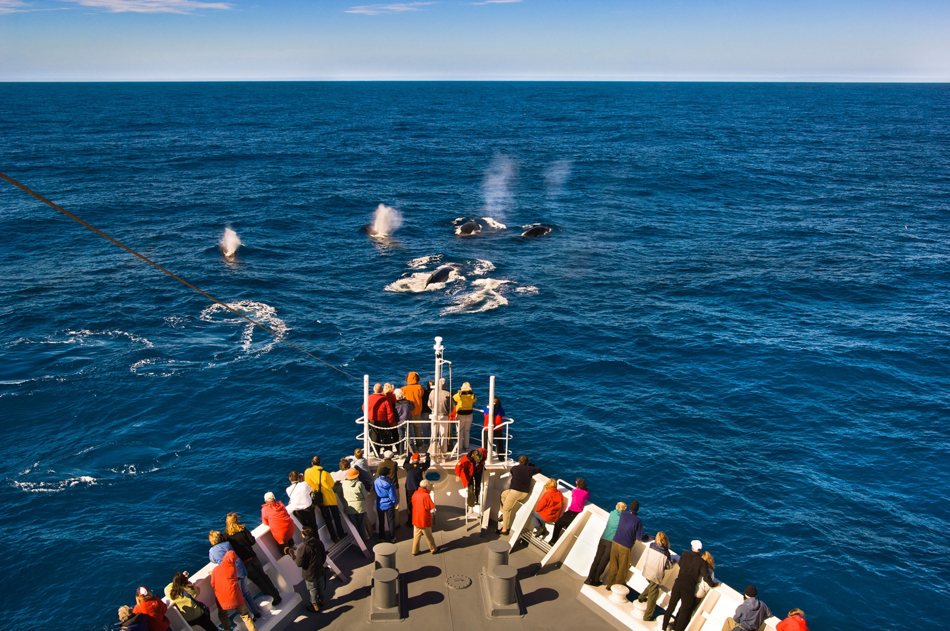 Vessel Bow Observation