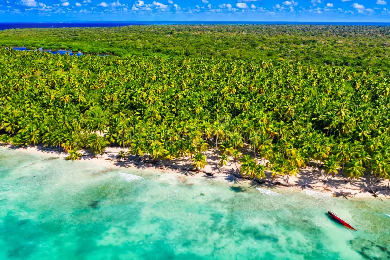 Discover Isla Saona by Catamaran