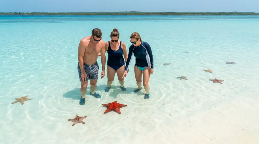 Your experience at Isla Saona Tours & Tickets