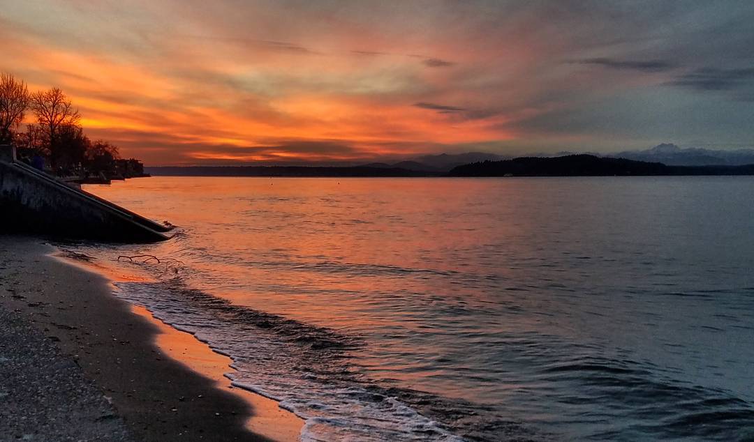 Alki Beach Park