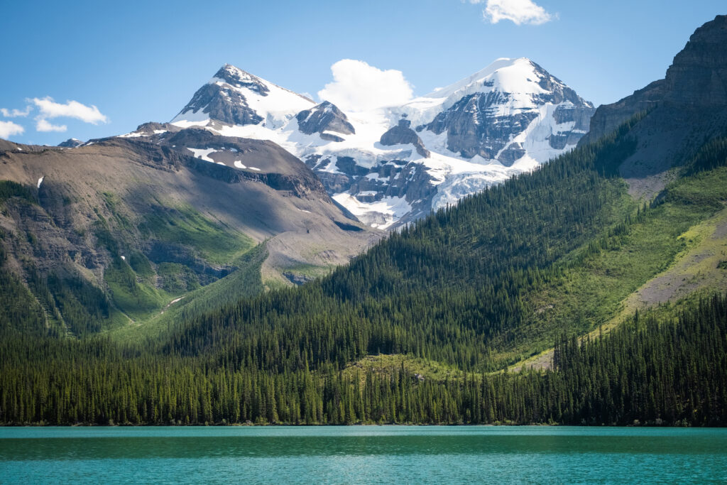 Coronet Glacier