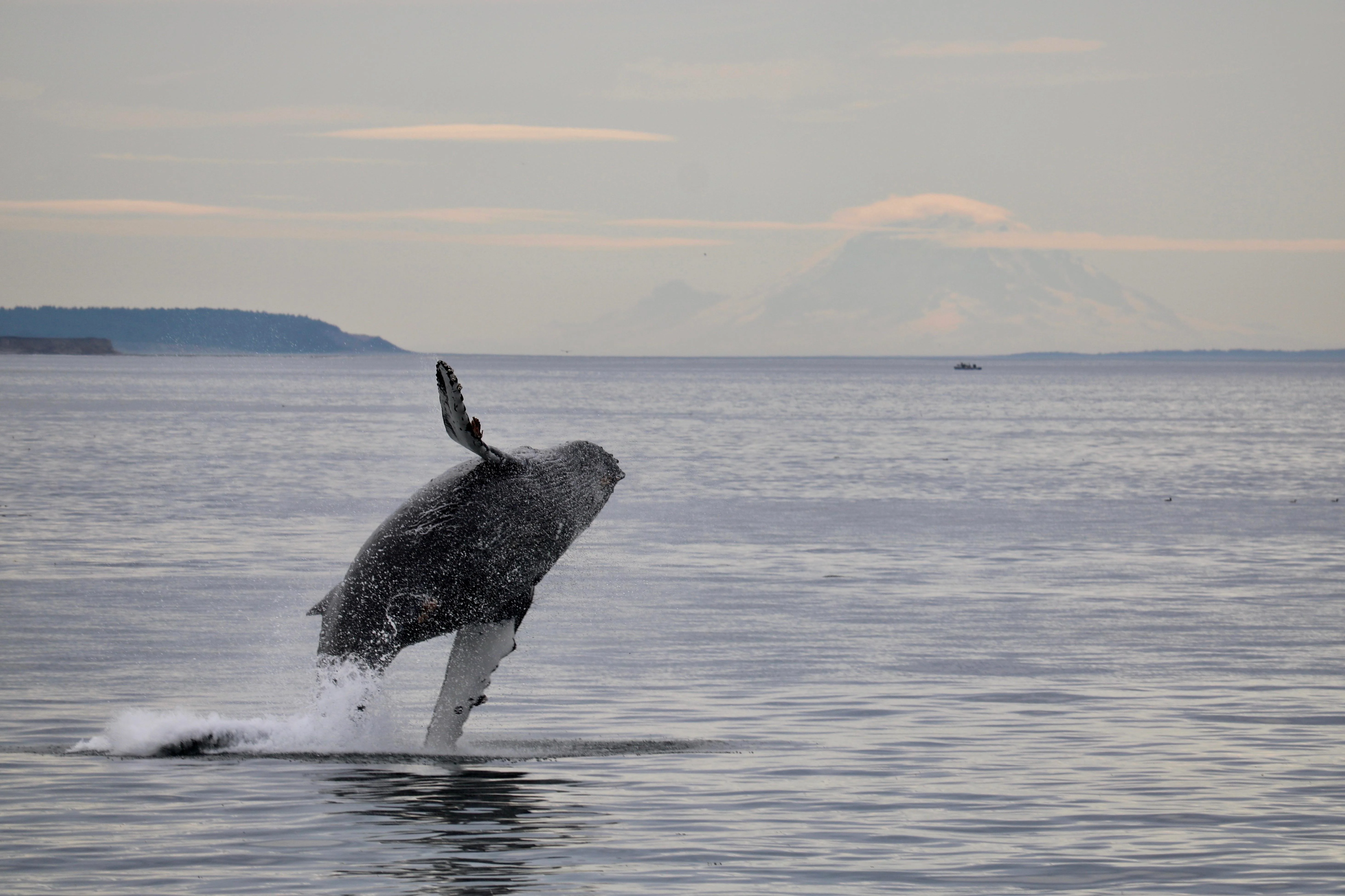 Edmonds Marina Park