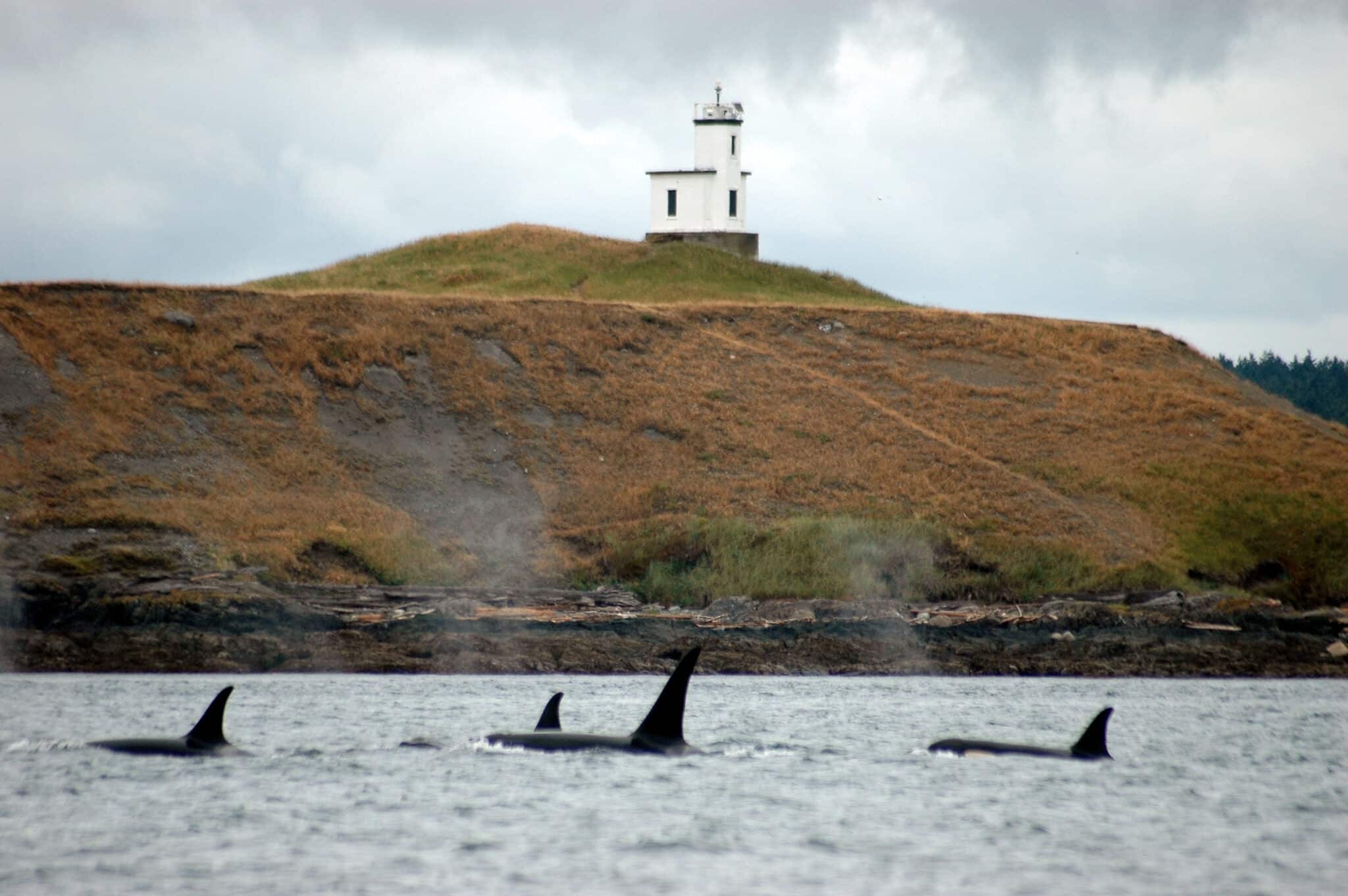 Cattle Point Light