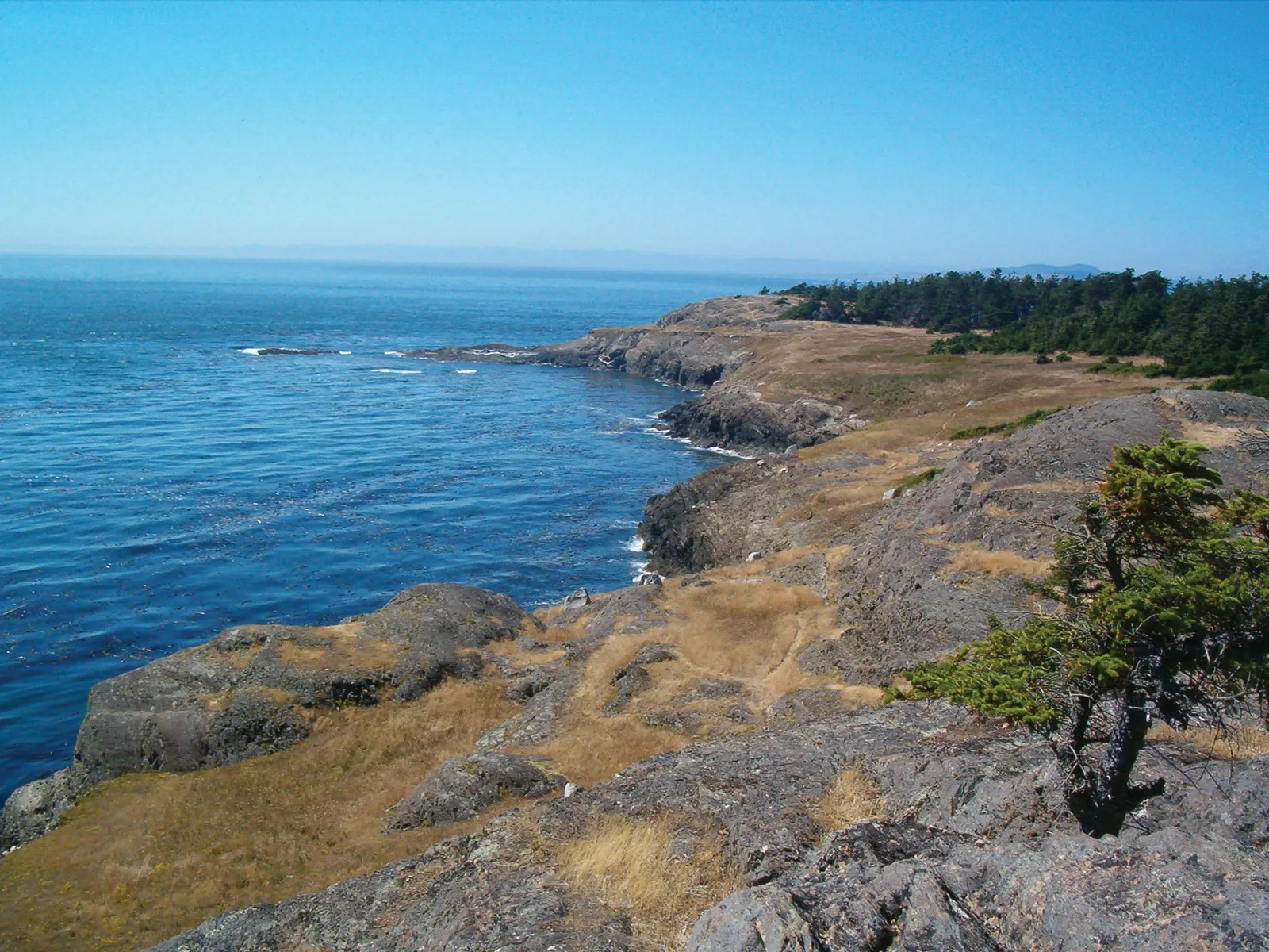 Westside Road Shoreline