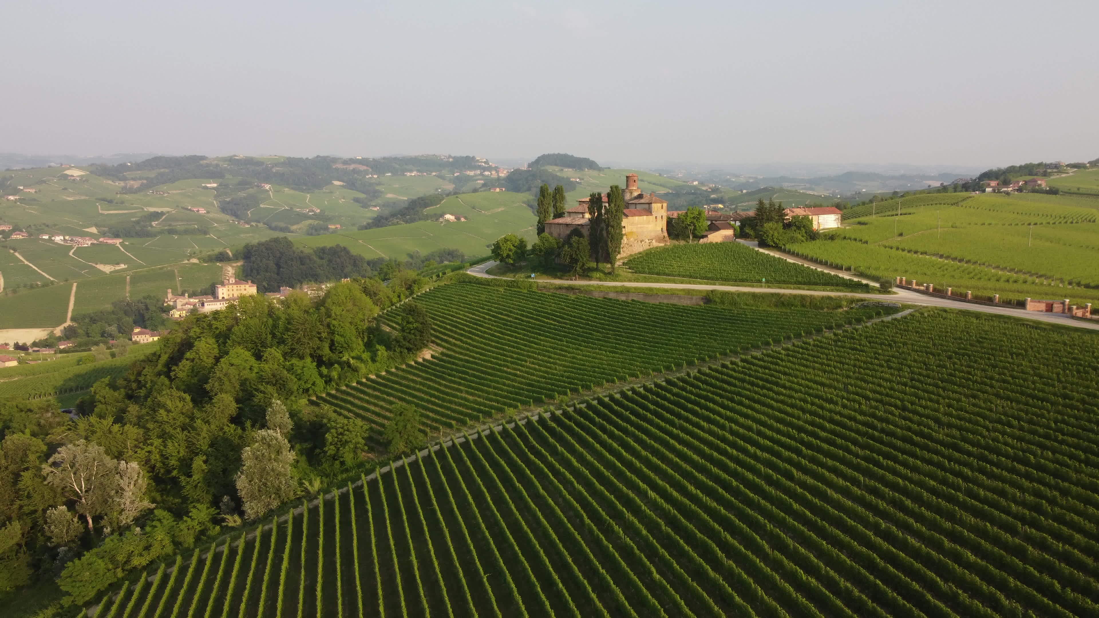 Barolo Wine Cellars and Vineyard Visits