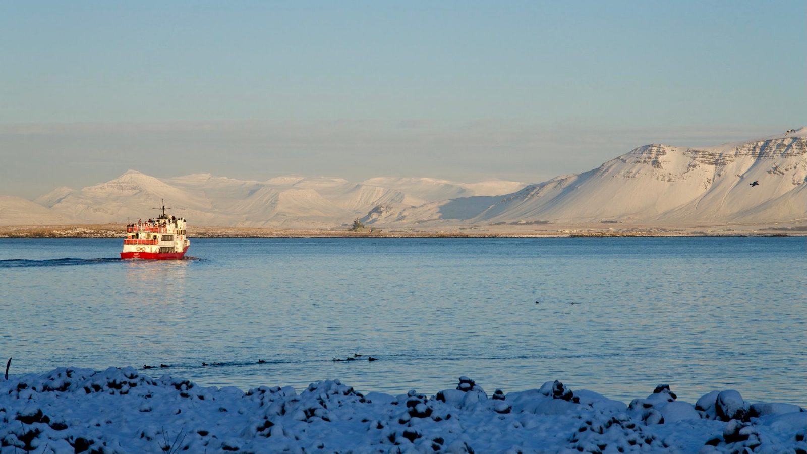 Faxaflói Bay marine zone