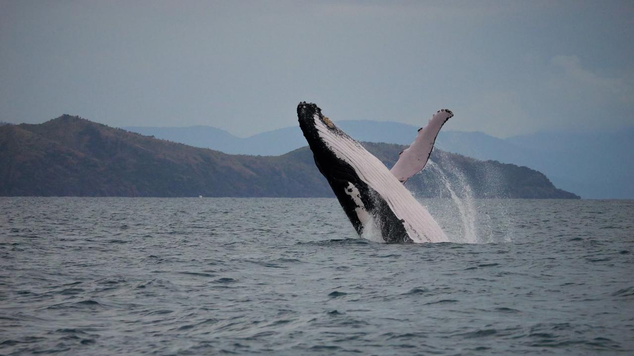 Marine Observation