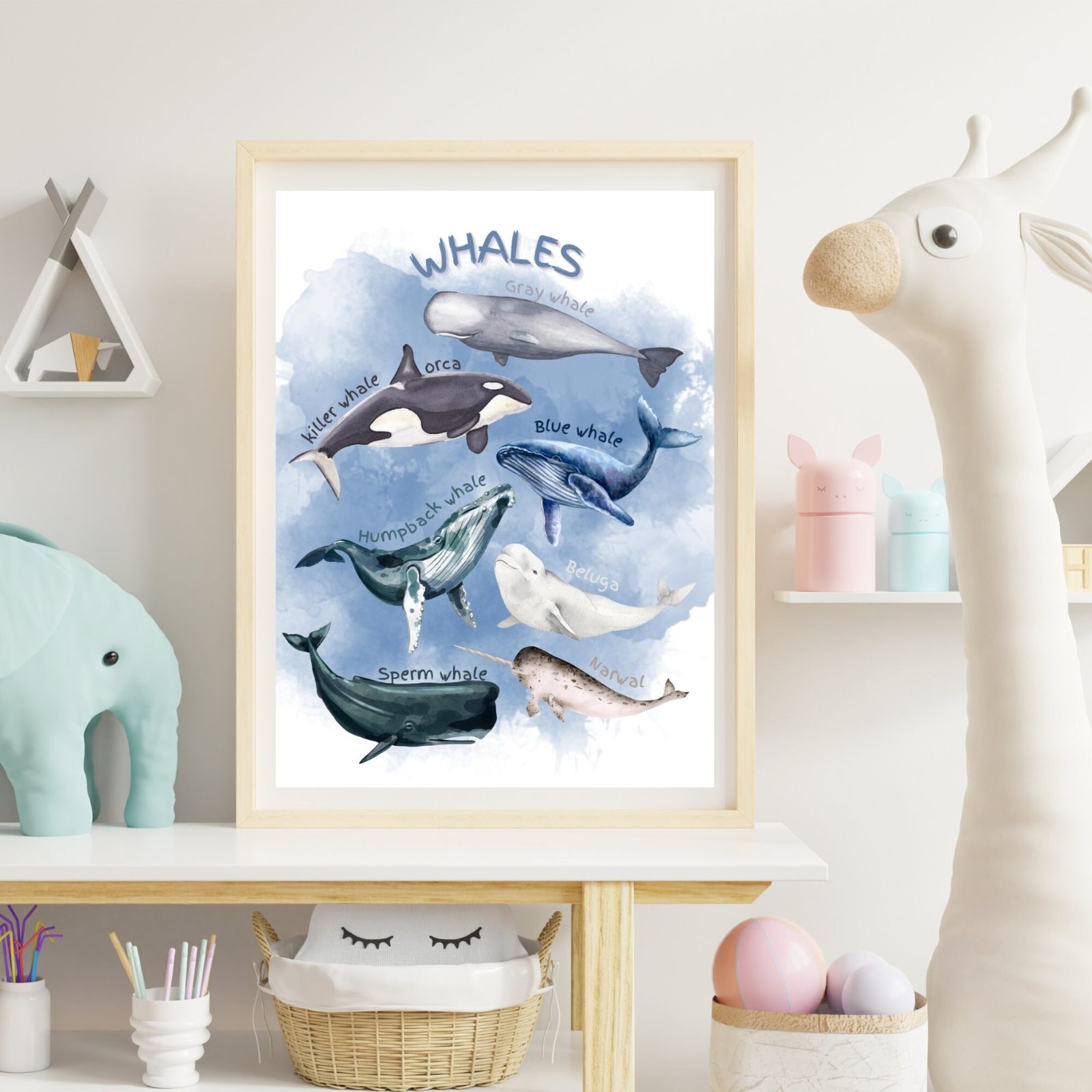 Marine Life Gallery