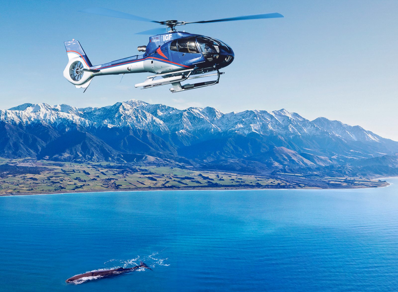 Kaikoura Whale Watching Helicopter