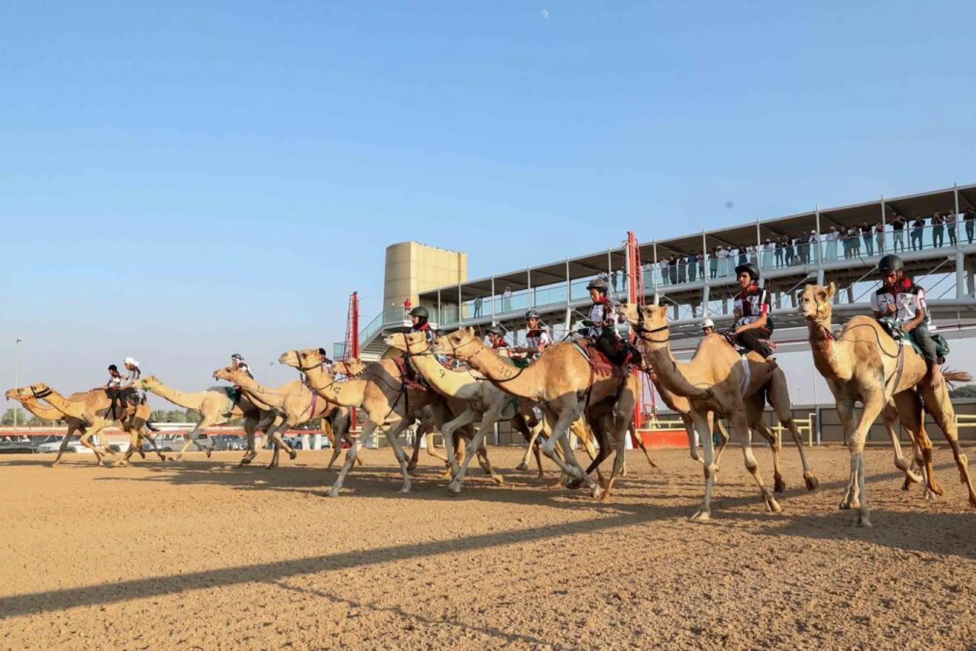 Lahbab Camel Race Track