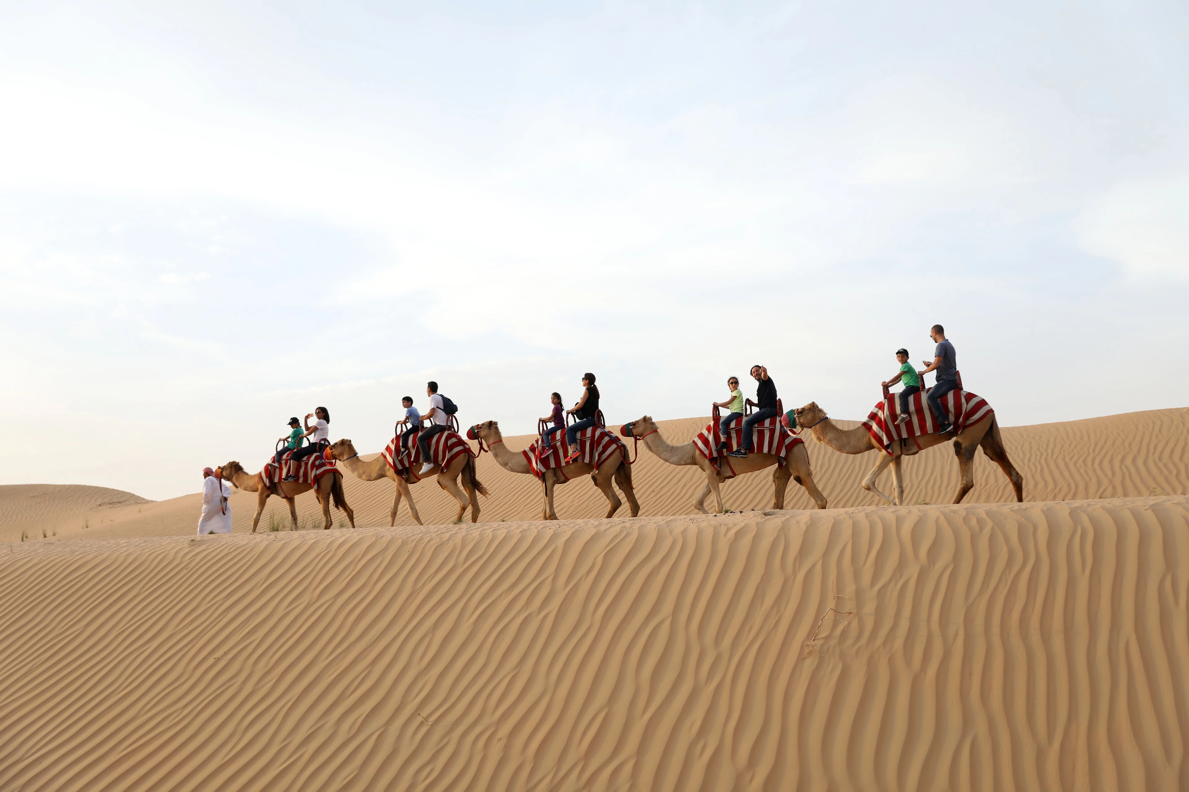 Camel Riding Circuit