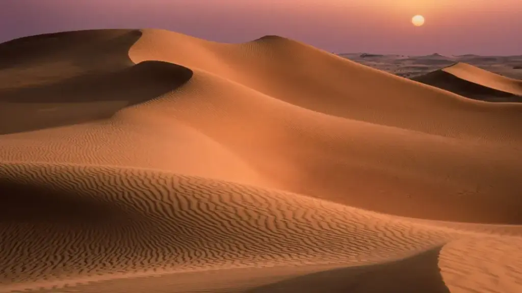 Lahbab Desert Safari Adventure Guide