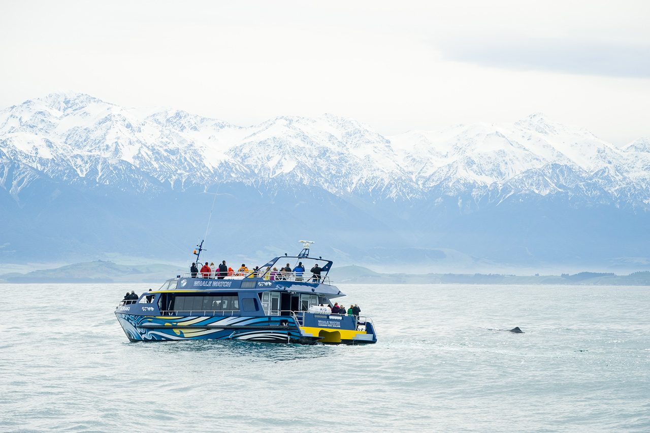 Vessel Observation Deck