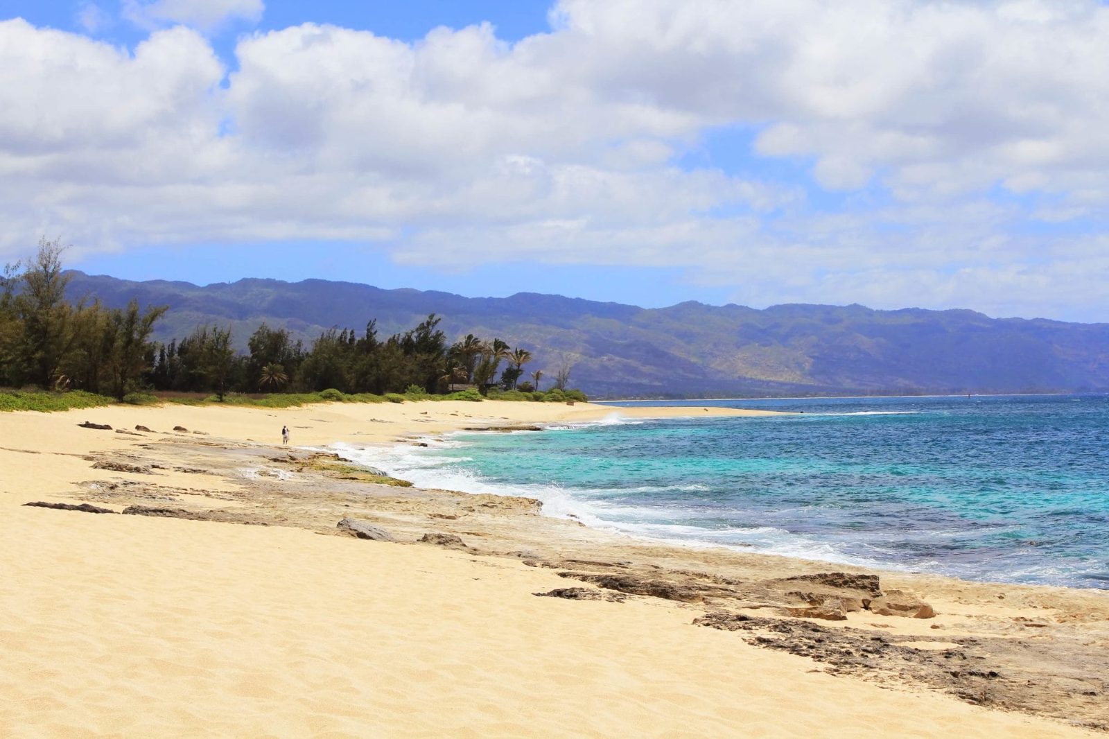 Haleiwa Beach Park Shoreline
