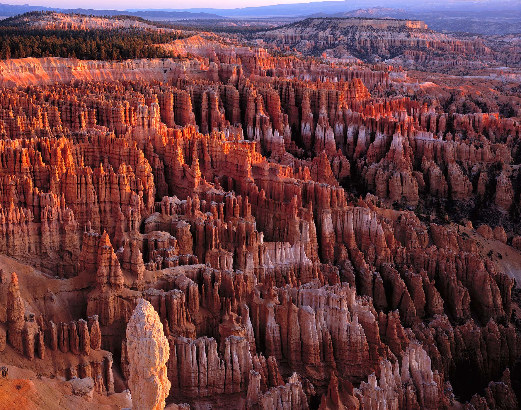 Exploring Bryce Canyon and Its Hoodoos