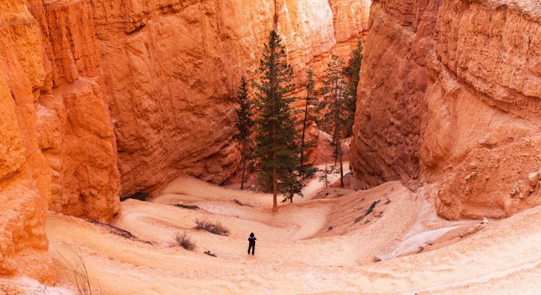 Your experience at Bryce Canyon Tours & Tickets