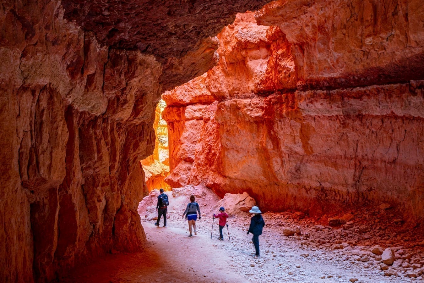 Wall Street Slot Canyon