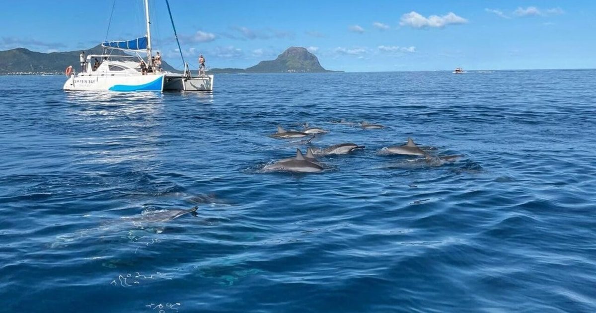 Mauritius Dolphin Tour