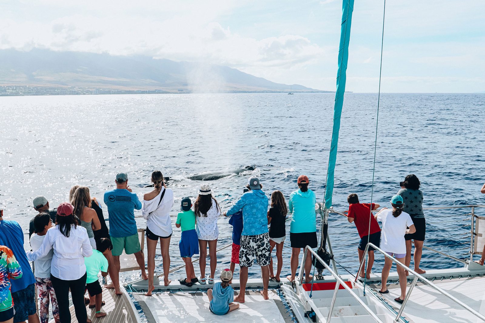 Hawaii Whale Watching Oahu