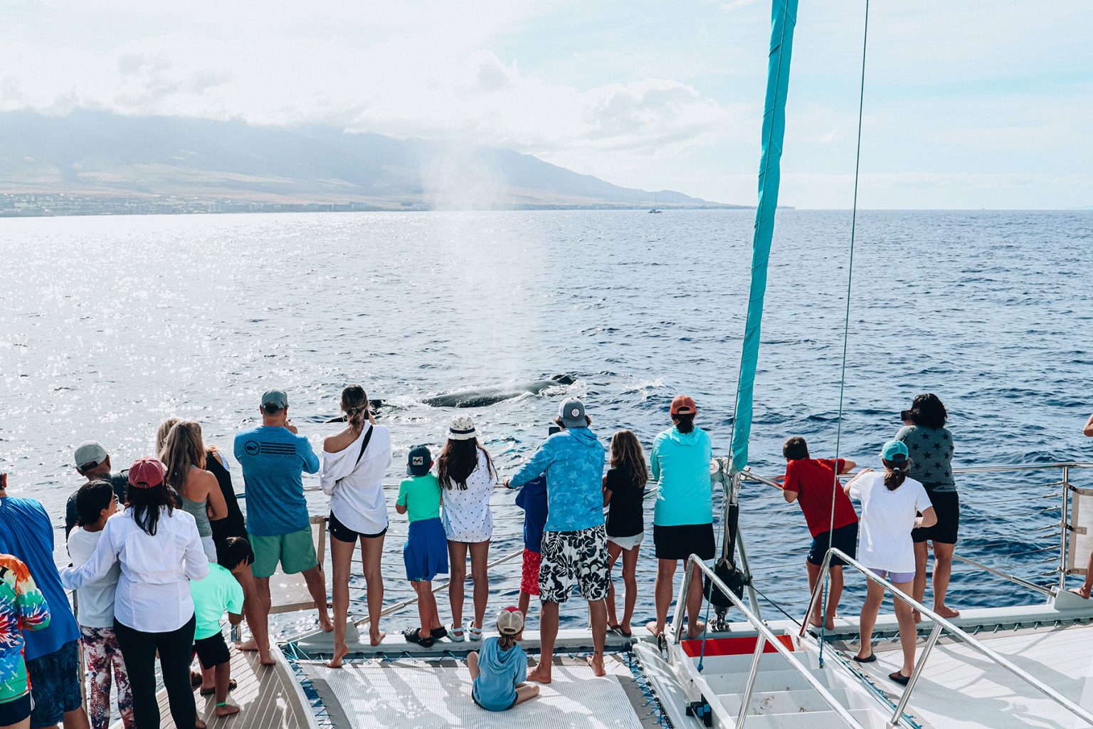 Hawaii Whale Watching Big Island
