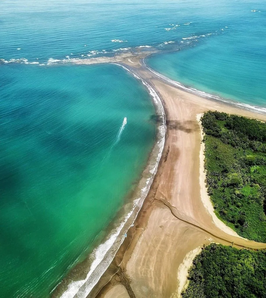 Coastal Forest